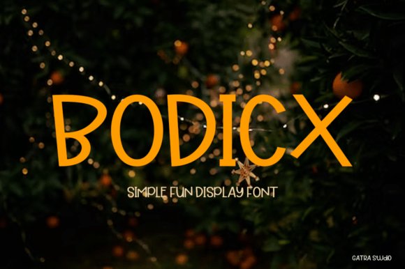 Bodicx: A Modern Display Font That Elevates Small Business Branding