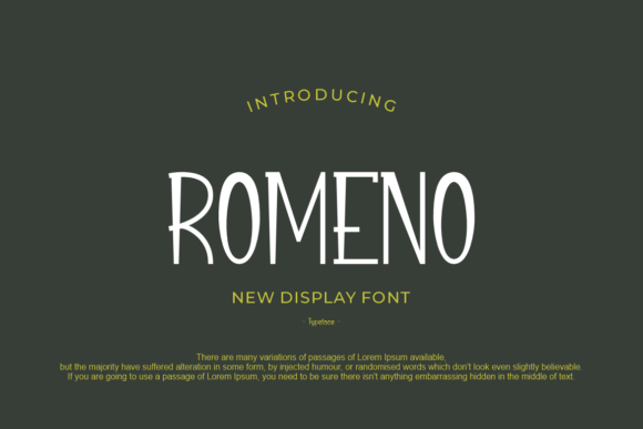 Romeno: A Modern Display Font for Web Designers and Digital Brands