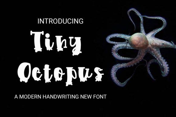 Tiny Octopus: A Playful Display Font for Modern Web Design